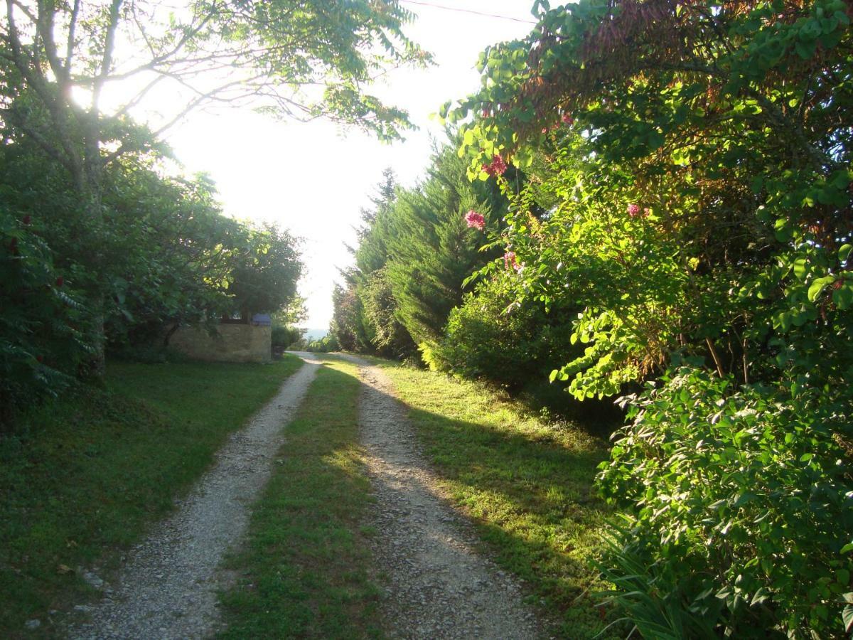 Le Mas Des Cypres Villa Constans Buitenkant foto